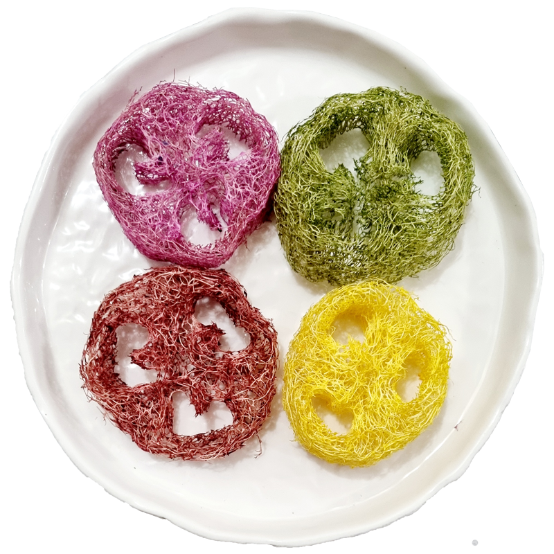 Loofah Fruits Flavored